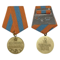 Копия Медаль За взятие Будапешта