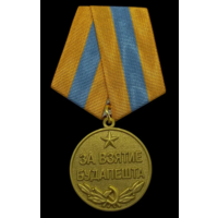 Копия Медаль За взятие Будапешта