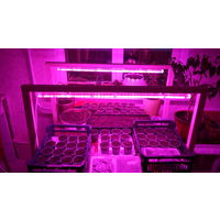 Фито светильник для растений 21Вт, 120 см, РБ