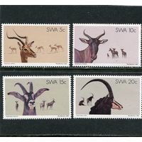 ЮАР (SWA). Фауна. Антилопы