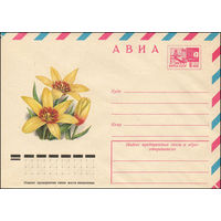 Художественный маркированный конверт СССР N 11946 (09.03.1977) АВИА  Тюльпан "Корона"