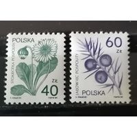Польша 1989 Флора Лекарственные растения