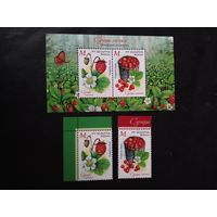 Беларусь  2025 2 м+бл. ягоды