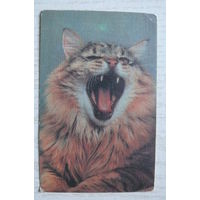 Календарик, 1990, Кошка.