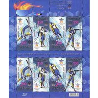 Украина 2010.Олимпиада Ванкувер. Малый лист (534)