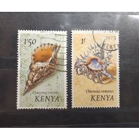 Кения. 1971 год. Фауна. Ракушки (73)