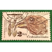 Чехословакия 1983. Птицы. Клест-еловик