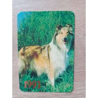 Календарик 1993