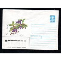 Художественный маркированный конверт СССР N 88-532 (12.12.1988) Берегите природу! Жимолость съедобная