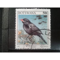 Ботсвана,1997. Буффало Уивер