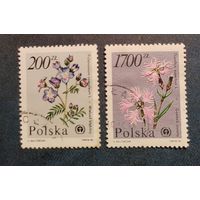 1990 г. Польша Флора Цветы