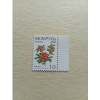 Марки Беларусь. Марка станд. Брусника. 2004 год