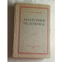 Анатомия человека. Гремяцкий М. А. 1950