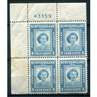 Британские колонии - Ньюфаундленд - 1947г. - День Рождения принцессы Елизаветы - 1 кварт - полная серия, MNH, есть небольшие вмятинки и пятно на поле слева [Mi 243]. #3-WB-92-A-1
