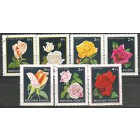 Венгрия. Цветы. Розы. 1982г. Mi#3548-54. Серия.