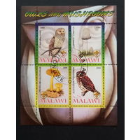 ЛИСТ ФАУНА животные  СТО