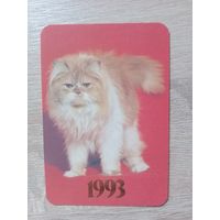 Календарик 1993