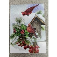 Открытка птицы, кормушка, остролист, шишки, новый год. Чистая