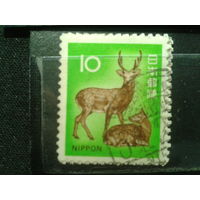 Япония, 1972. Стандарт, пятнистый олень