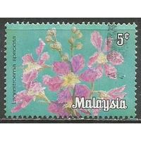 Вилайян Персикотуан. Цветы. Птерокариус. 1979г. Mi#3.