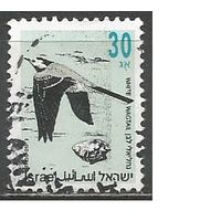 Израиль. Птицы. Белая трясогузка. 1992г. Mi#1250.