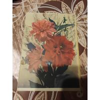 Открытка,телеграмма,подписана