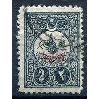 Османская Империя (Турция) - 1908г. - тугра Абдул Хамида II, надпечатка, перф. 12, 2 Pia - 1 марка - гашёная [Mi 148 С]. #4-W2-126-A-1