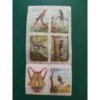 Куба марки 1961 г. Рождество, птицы.