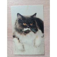 Календарик 1990