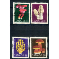 Канада - 1989г. - грибы - 4 марки - полная серия, гашёные [Mi 1142-1145]. #3-WB-96-B-1