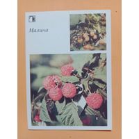 Открытка,1986