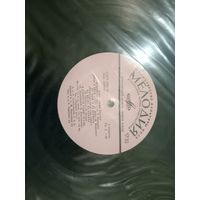 Виниловая пластинка