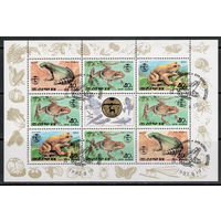 Корея /КНДР/1992/ Лягушки / Разновидности / Блок Сцепка #9