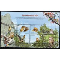 Уругвай 2015. Фауна. Птицы совы