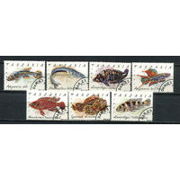 Танзания - 1991 - Рыбки - [Mi. 1040-1046] - полная серия - 7 марок. Гашеные.  (Лот 82HS)-TG3P13