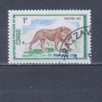 [521] Конго 1972. Фауна.Дикие кошки.Лев. Гашеная марка.