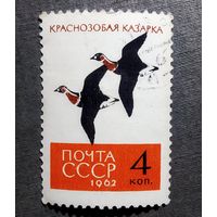 Марка СССР 1962 год Птицы