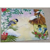 Посткроссинг. Открытка из Германии: синицы(10х15). Тираж: 500 экз. Прошла почту. Художественные марки, чёткий штемпель.