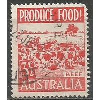 Австралия. Продукты питания. Скот. 1953г. Mi#228.