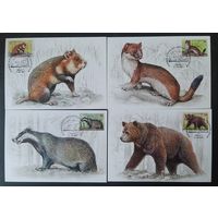 Беларусь 2017 КМ животные .