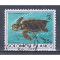 [577] Соломоны 1983. Фауна.Черепаха. Гашеная марка.