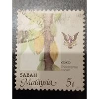 Малайзия. Флора. Какао