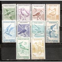 ФФ2 Румыния 1991 Птицы