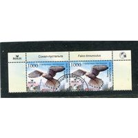 Беларусь 2010.. Птица года. Обыкновенная пустельга. Верхняя сцепка листа