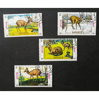 Монголия 1990 г. Сибирская кабарга. Фауна. полная серия из 4 марок #0133-Ф1P27