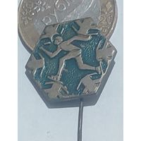 Значок " Спорт т.м. "