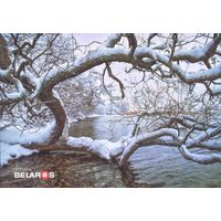 Планета Беларусь 2019 Витебская область озеро Дрисвяты