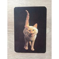 Календарик 1993