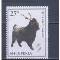 [750] Албания 1968. Фауна.Домашние животные.Коза.25 к. Гашеная марка.