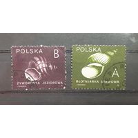 Польша. 1990 год. Фауна. Раковины